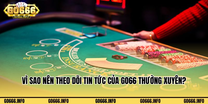 Vì sao nên theo dõi tin tức của Go66 thường xuyên?