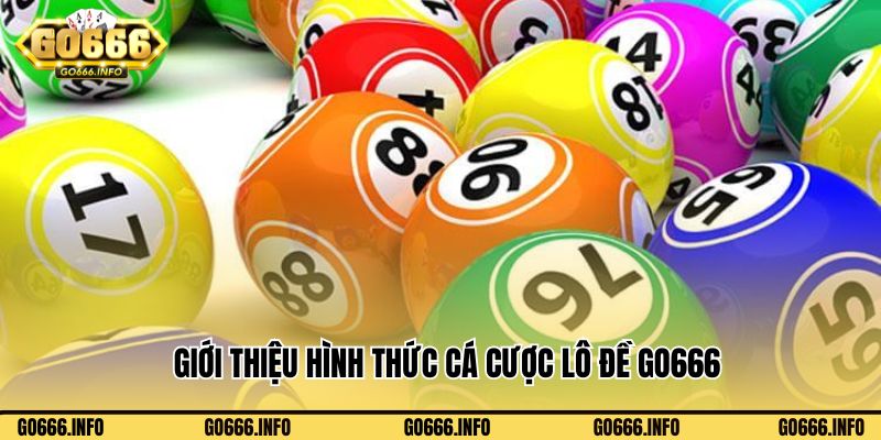 Giới thiệu đến người chơi hình thức cá cược lô đề Go666