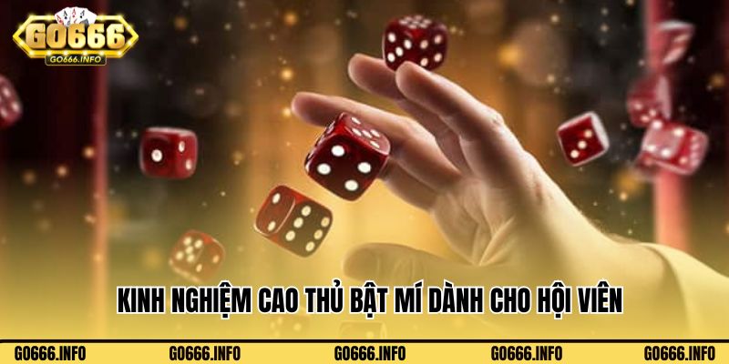Kinh nghiệm cao thủ bật mí dành cho hội viên chơi Tài Xỉu Go666