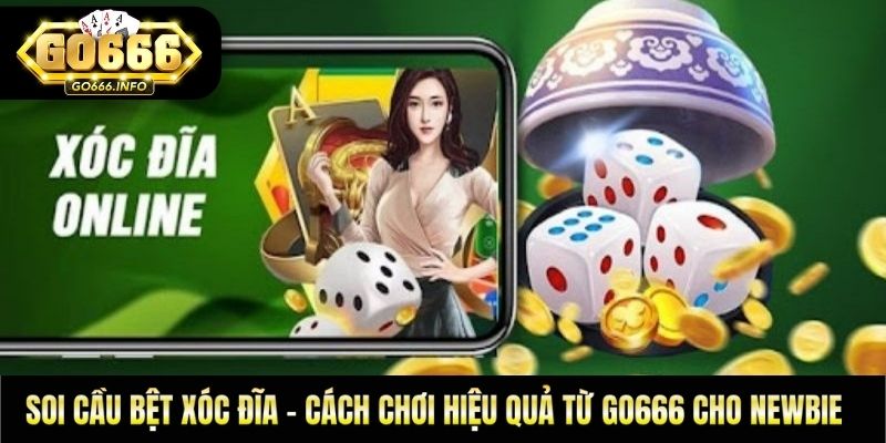 Soi Cầu Bệt Xóc Đĩa - Cách Chơi Hiệu Quả Từ GO666