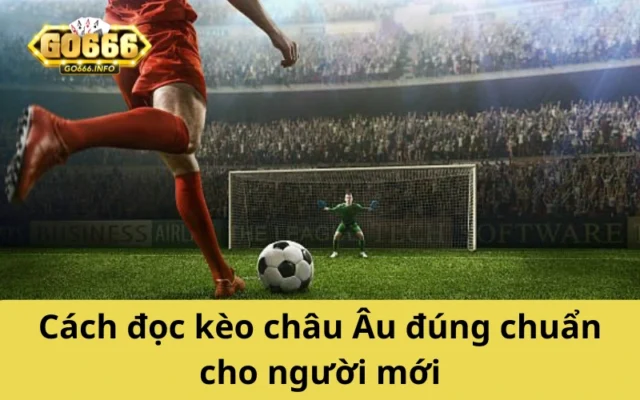 Cách đọc kèo châu Âu đúng chuẩn cho người mới