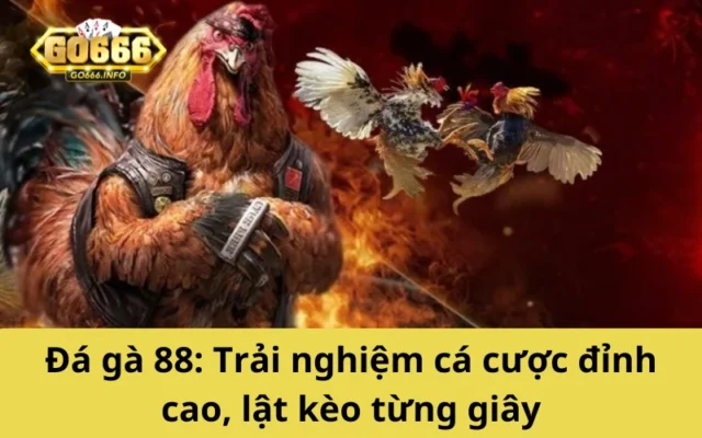 Đá gà 88: Trải nghiệm cá cược đỉnh cao, lật kèo từng giây