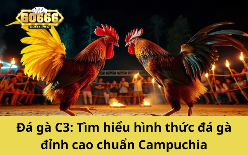 Đá gà C3: Tìm hiểu hình thức đá gà đỉnh cao chuẩn Campuchia