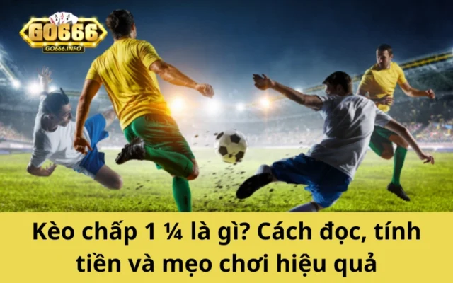 Kèo chấp 1 1/4 là gì? Cách đọc, tính tiền và mẹo chơi hiệu quả