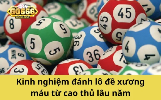 Kinh nghiệm đánh lô đề xương máu từ cao thủ lâu năm